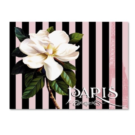 Tina Lavoie 'Paris Magnolias IV' Canvas Art,14x19